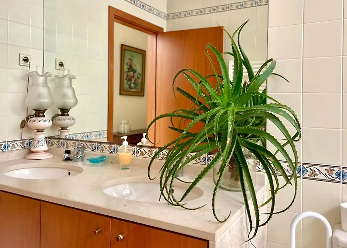 Vistas Do Minho No Caminho De Santiago Caminha