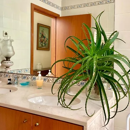 Vistas Do Minho No Caminho De Santiago Caminha