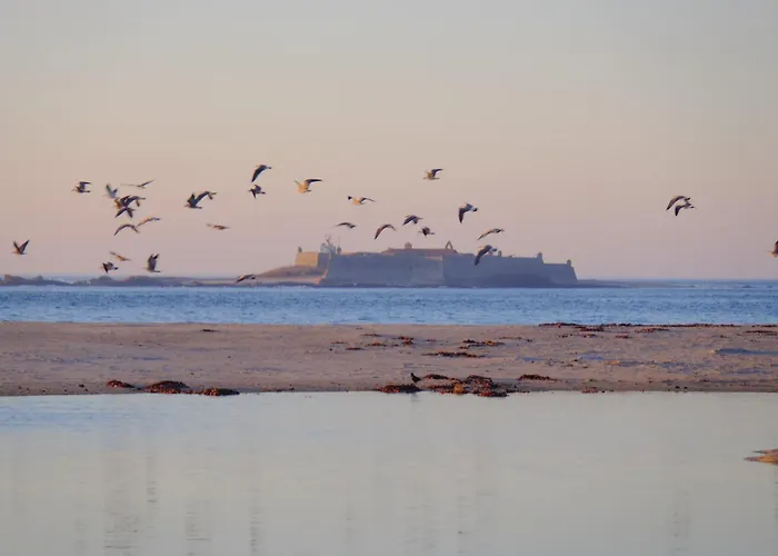 Vistas Do Minho No Caminho De Santiago Ferienhaus *